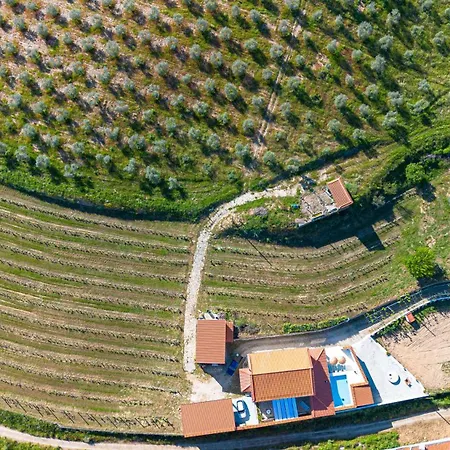 Quinta Ychos Mirandela